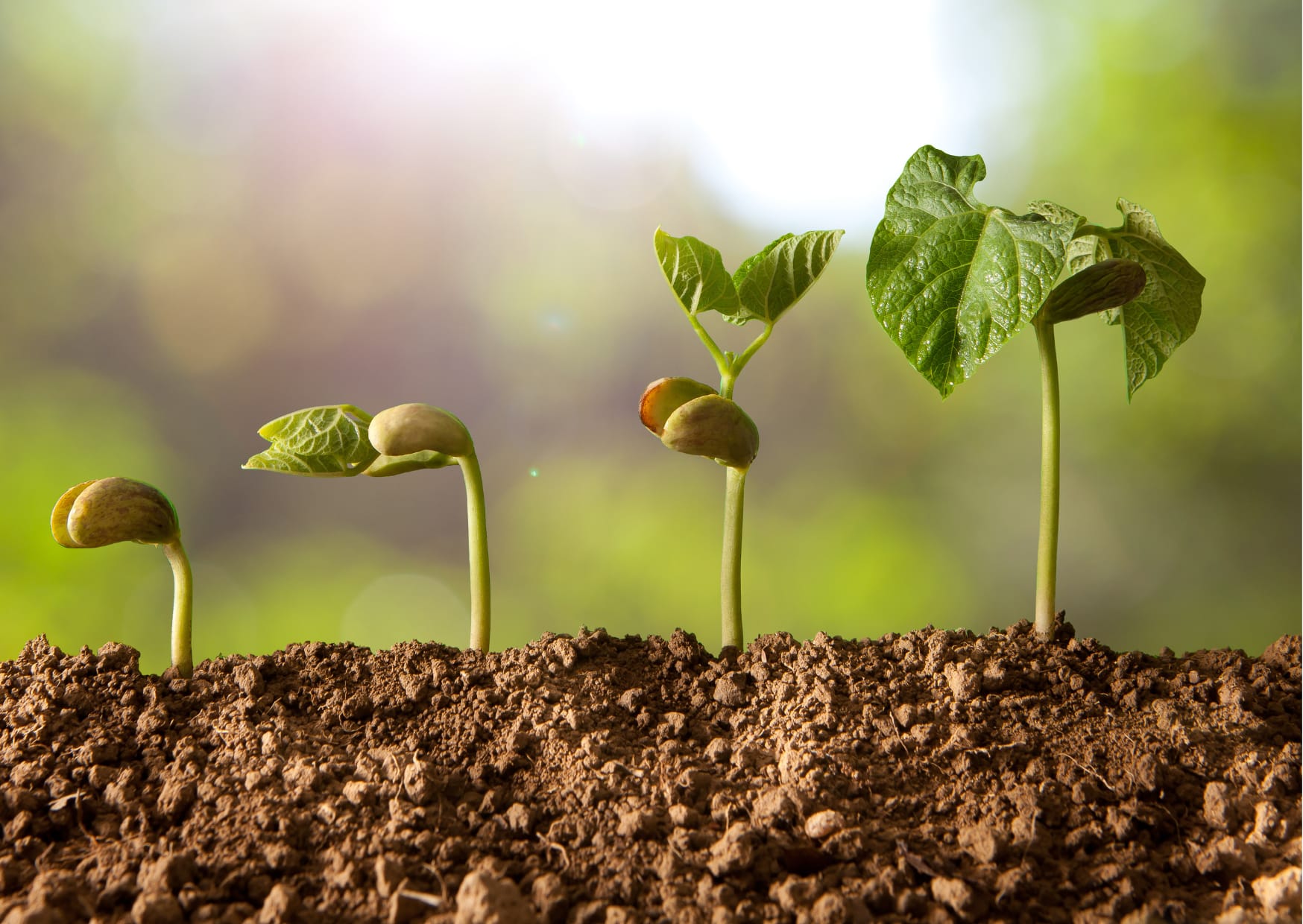 Tempo di TrasformAZIONE